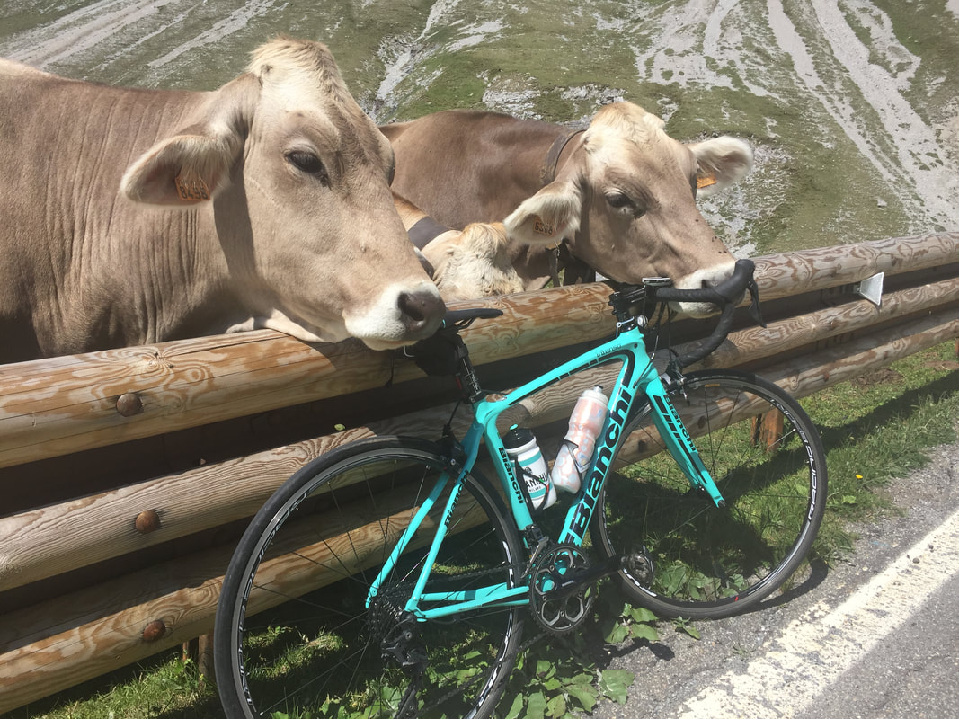 Lake Como Views - Bike It Bellagio