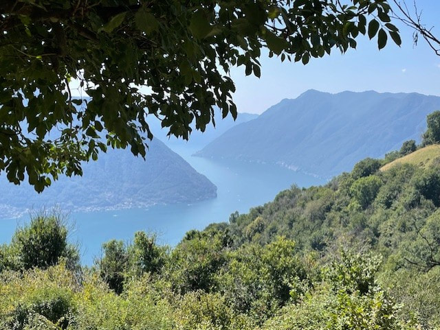 Cyclists on the lake shore