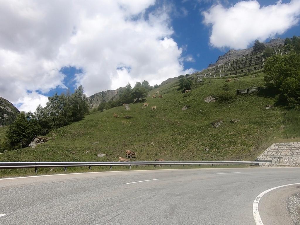 Lake Como to Livigno Cycling - Bike It Bellagio Lake Como to Livigno Cycling - Bike It Bellagio