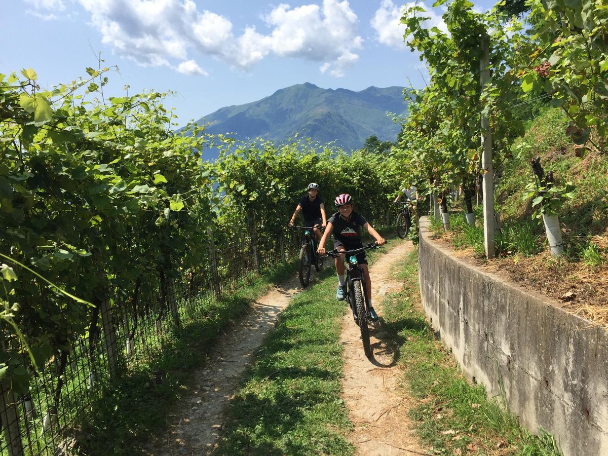 Lake Como Wine and Bike Tour