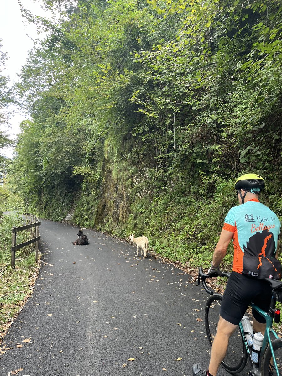 Cyclist on a scenic road in Lake Como