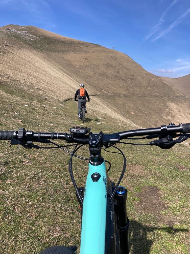 Daily Group E-Bike Tours